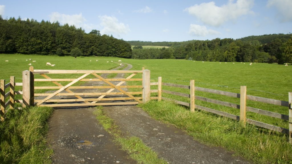 Farmland, Lake District National Park, UK