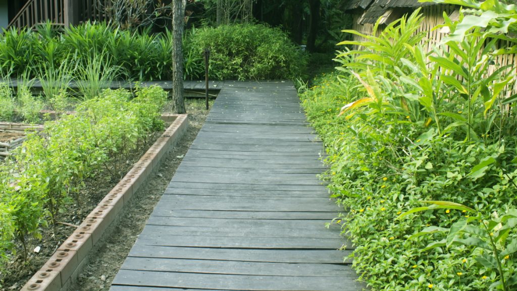 Boardwalks and tree leaves.